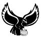 hawk_logo